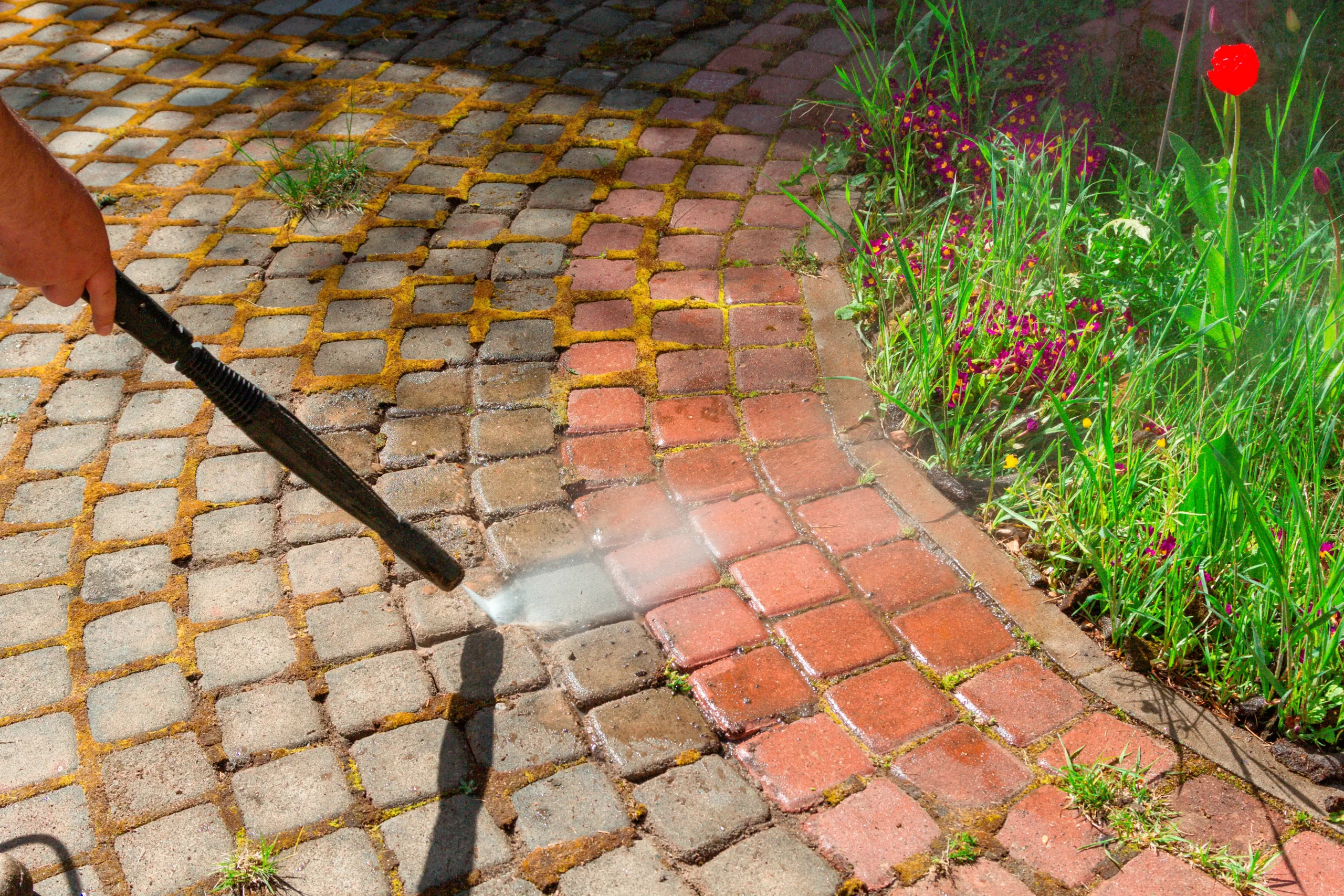 SITE CLEANSING
