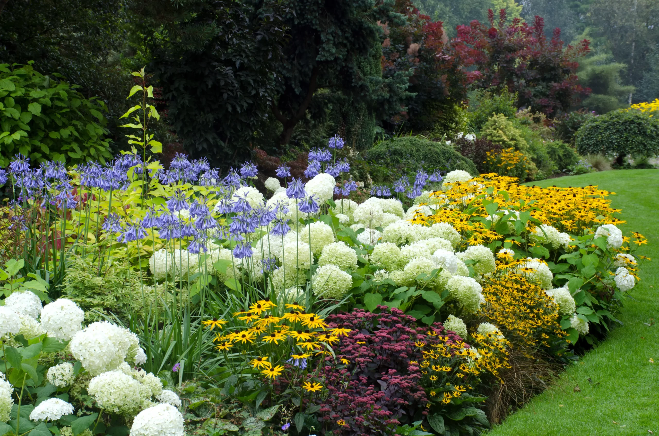 SOFT LANDSCAPING