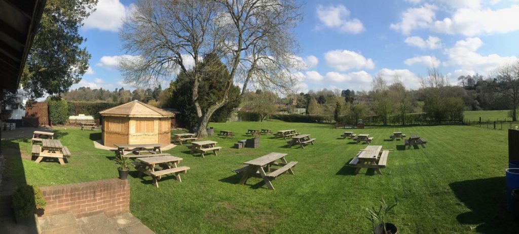 pub grass