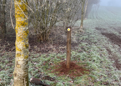 Country Walk